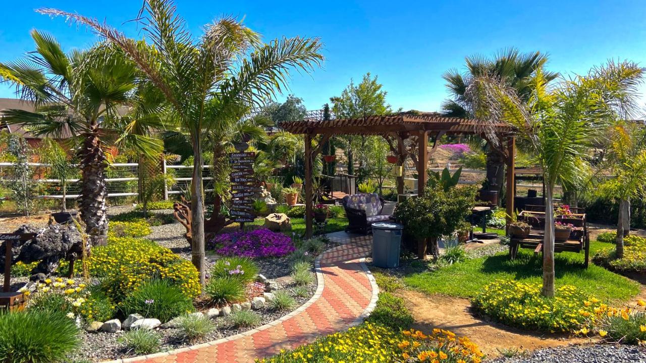 Paraiso Del Valle Campsite